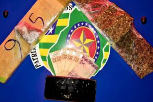 Maconha apreendida em Aparecida