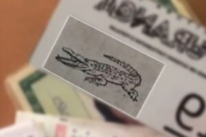 DIVIDIU OPINIÕES: Itapuranga usa desenho de jacaré para ilustrar senhas de vacinação contra Covid. (Foto: reprodução)