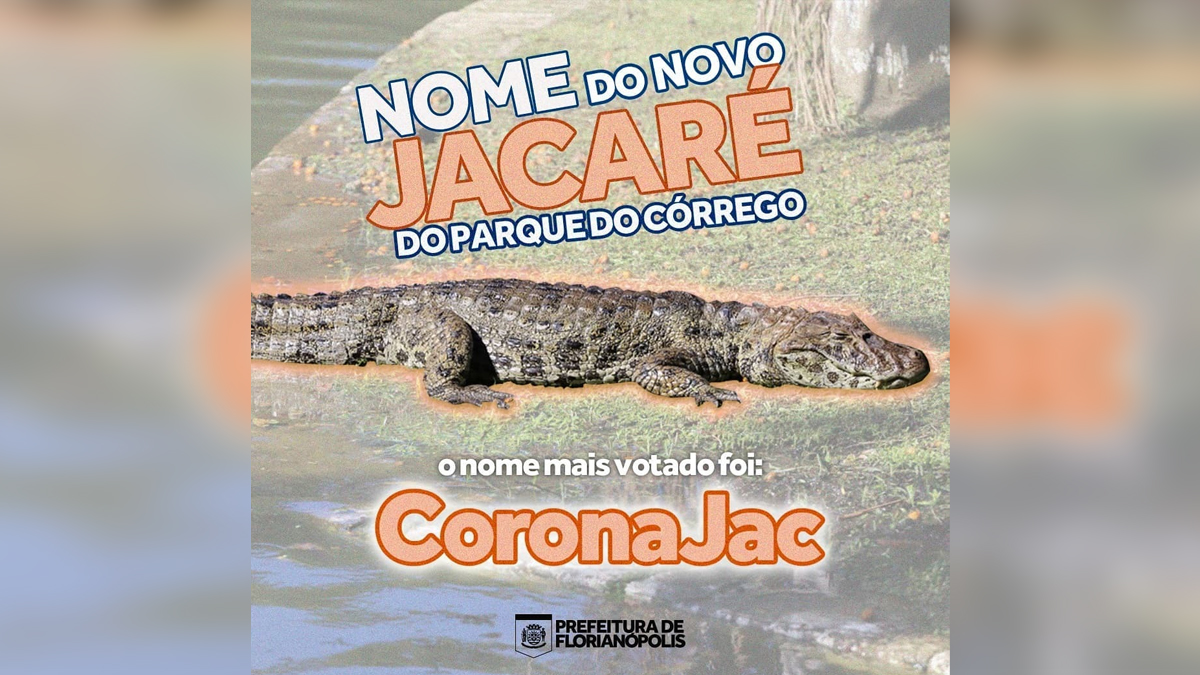 Nome vem da junção do nome da vacina fabricada pelo Instituto Butantan e da fala do Bolsonaro sobre virar jacaré ao tomar vacina