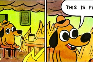 Meme do cachorrinho na casa pegando fogo (Reprodução)