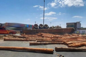 Motorista sai ileso após caminhão tombar e espalhar carga de madeira na GO-050 em Paraúna