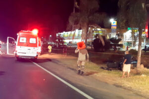 Criança morre em capotamento na BR-040 (Foto: CBM Goiás - Divulgação)