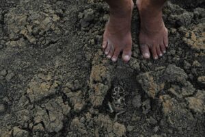 Mapa mostra avanço de seca grave e extrema em Goiás, em julho