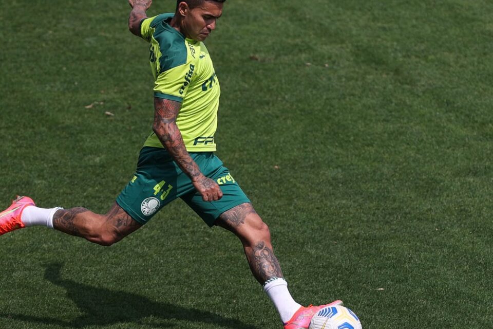 Foto: Reprodução/Twitter Palmeiras