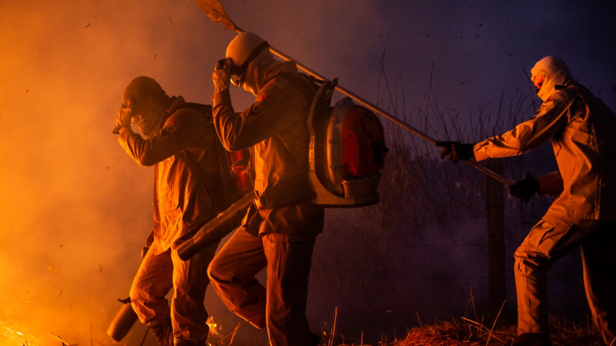 Regiões sul, norte e noroeste do Parque estão em chamas, segundo os Bombeiros