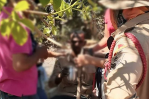 Bombeiros encontram homem desaparecido em São João d'Aliança (Foto: Bombeiros)