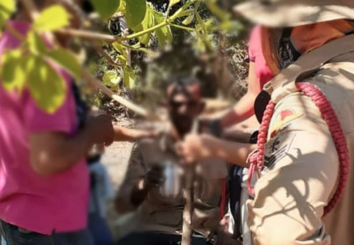 Bombeiros encontram homem desaparecido em São João d'Aliança (Foto: Bombeiros)