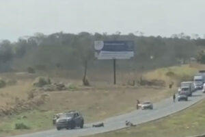 Após confronto, PM apreende quase uma tonelada de maconha