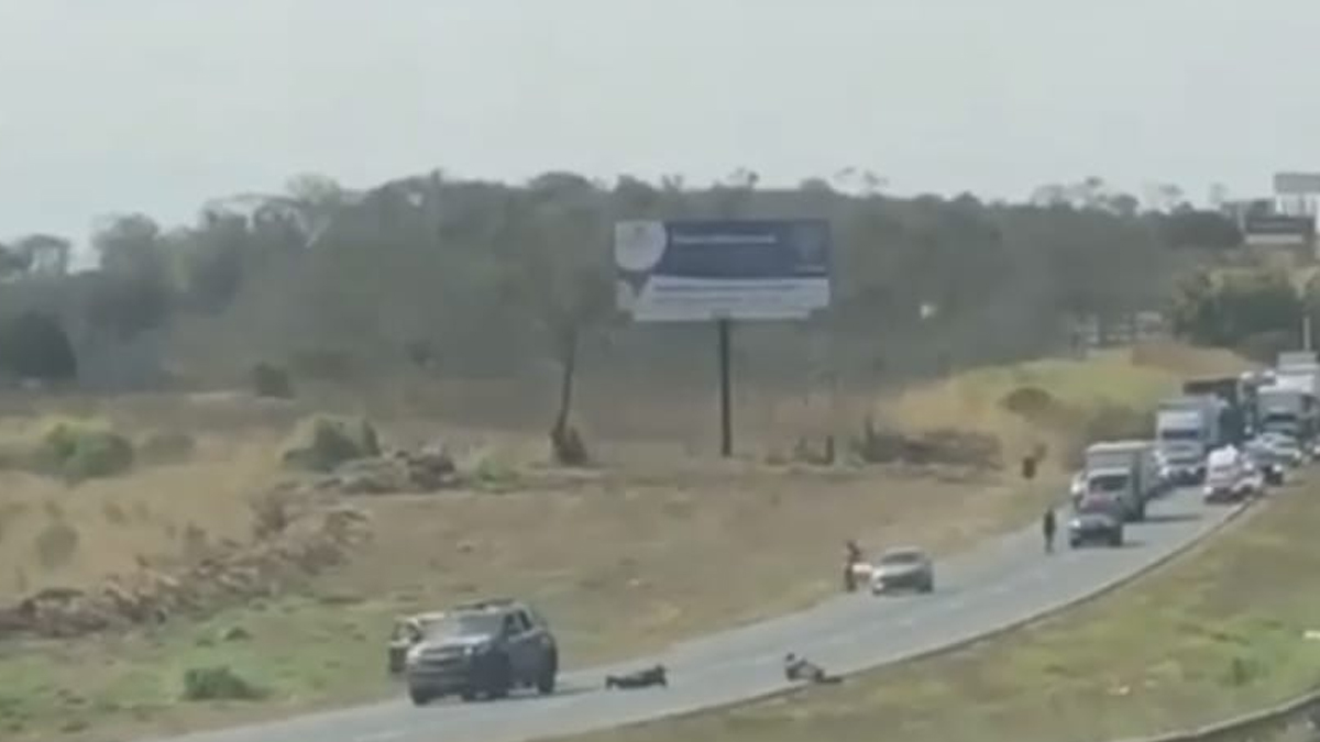 Após confronto, PM apreende quase uma tonelada de maconha