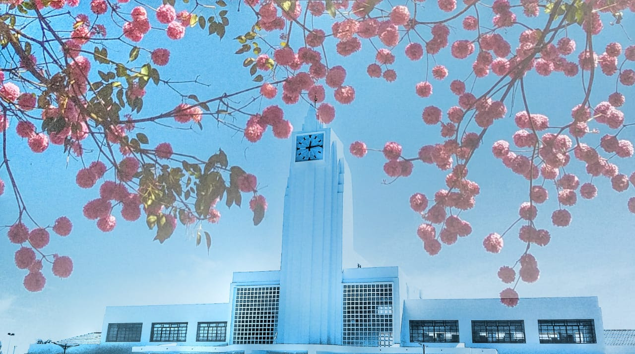 Exposição Fotográfica Goiás de Encantos também celebra a data