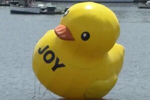 Pato de borracha de 7,5 m surge nos EUA, e nem autoridades sabem de quem é