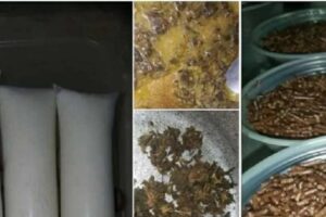 Homem é preso por venda online de 'brisadeiro e chopeconha' de cannabis