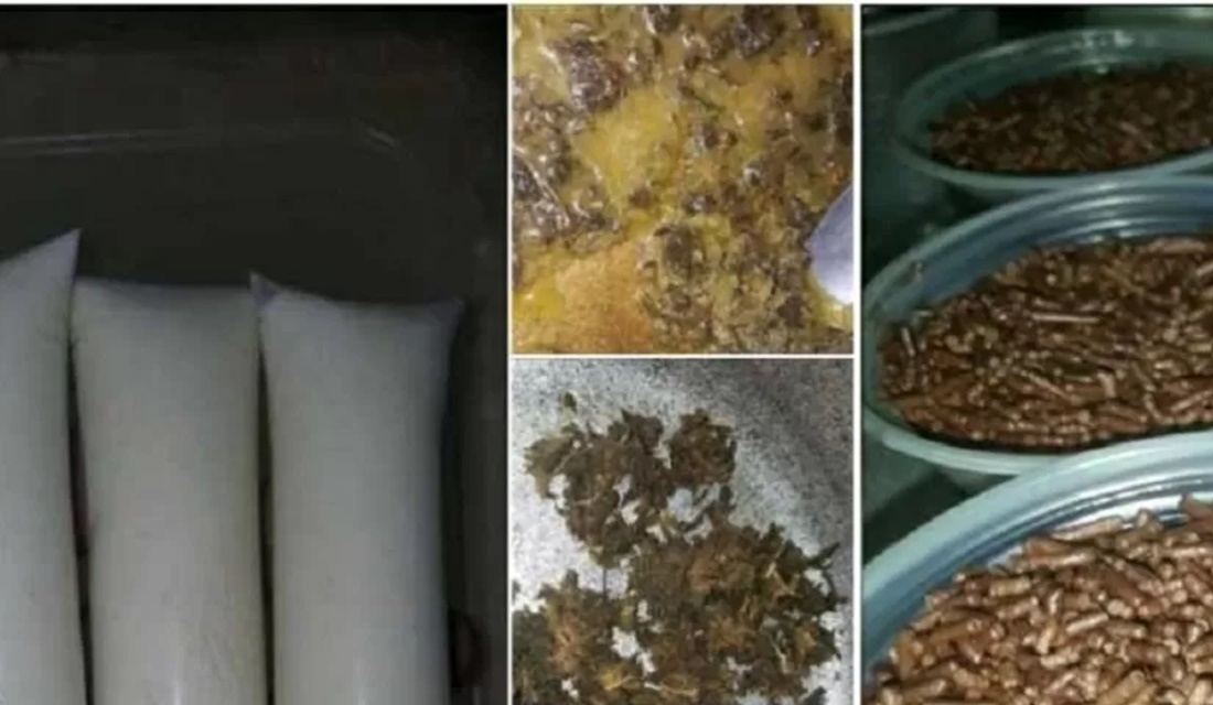 Homem é preso por venda online de 'brisadeiro e chopeconha' de cannabis