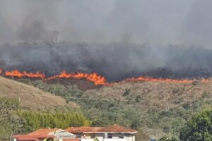 Incêndio do Parque Juquery