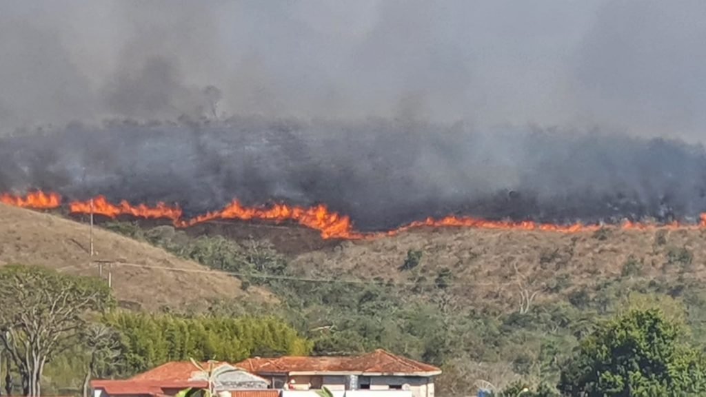 Incêndio do Parque Juquery