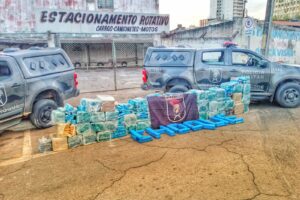 Apreensão de maconha após confronto perto de Anápolis (Foto: divulgação/PM)