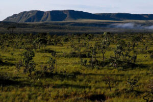 Projeto que reduz em 73% área da Chapada dos Veadeiros gera polêmica