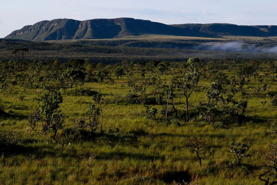 Projeto que reduz em 73% área da Chapada dos Veadeiros gera polêmica
