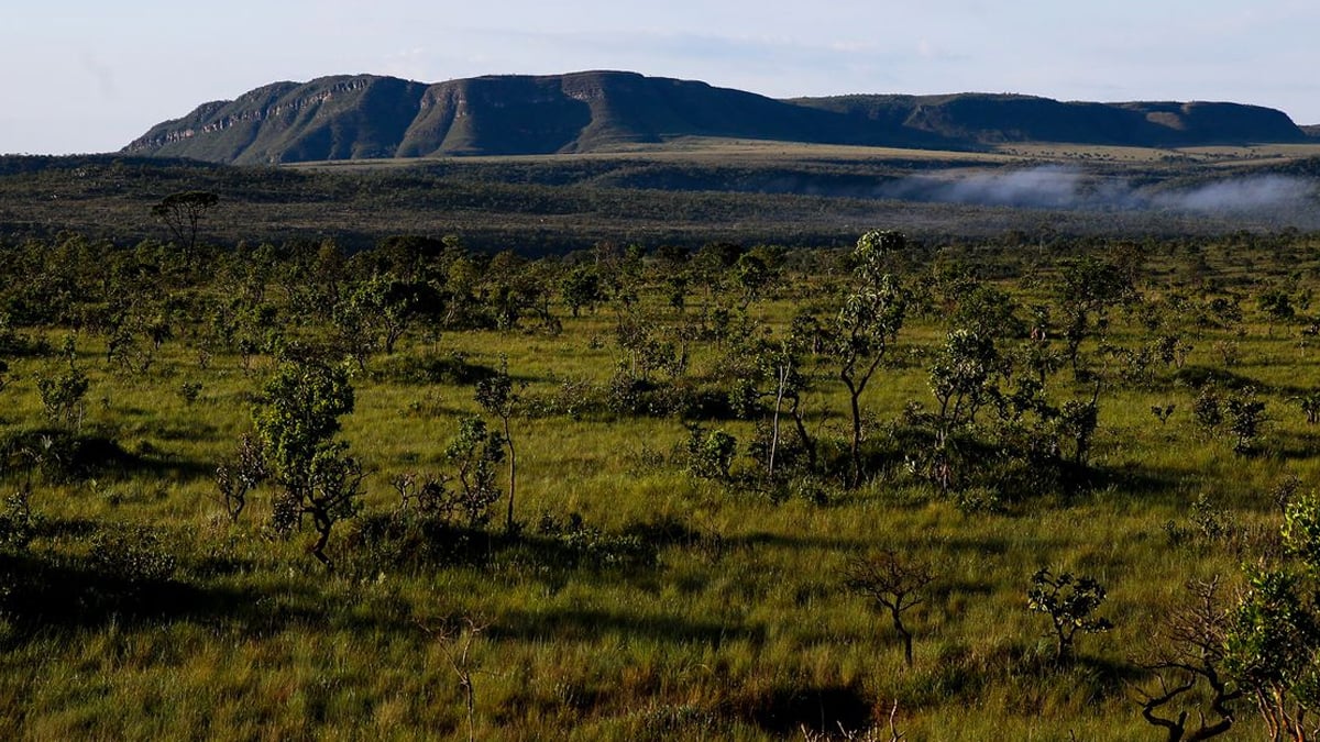 Projeto que reduz em 73% área da Chapada dos Veadeiros gera polêmica