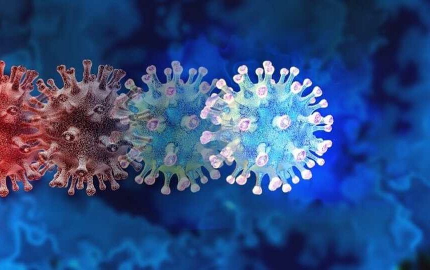 Goiás tem 26 casos da variante Delta após Aparecida confirmar mais 12