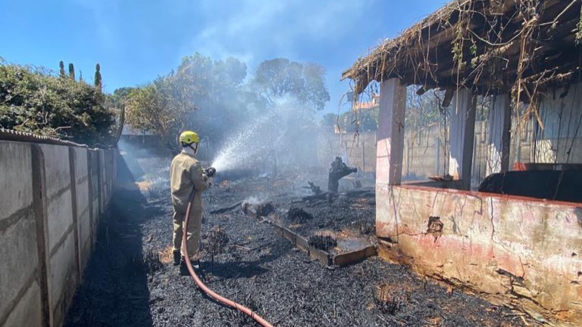 Bombeiro com mangueira de água controla chamas. Terreno está todo incendiado. Incêndio em vegetação de lote baldio atinge casa em Pirenópolis