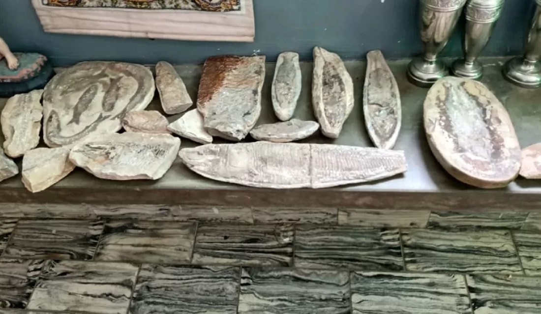 68 fósseis roubados de museu são achados com padre investigado por furto no RN