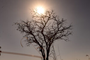 Goiânia registrou a menor temperatura dos últimos 28 anos no mês de agosto. Temperatura volta a subir em Goiás neste final de semana