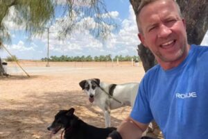 Britânico escapa de Cabul com 170 cães e gatos, mas sem equipe de ONG