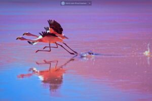 Brasília Photo Show recebe inscrições de fotógrafos profissionais e amadores até 26/08