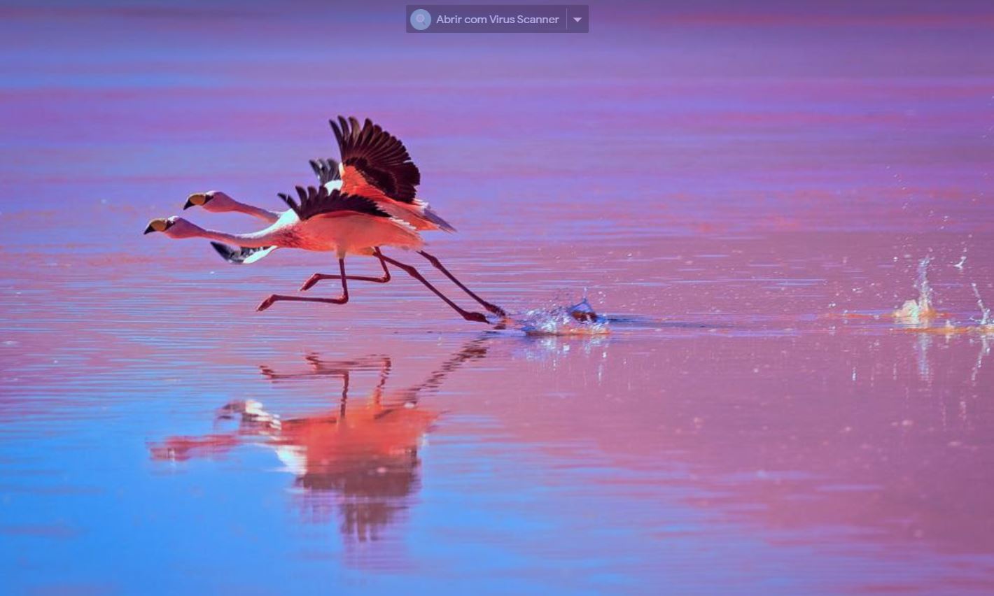 Brasília Photo Show recebe inscrições de fotógrafos profissionais e amadores até 26/08