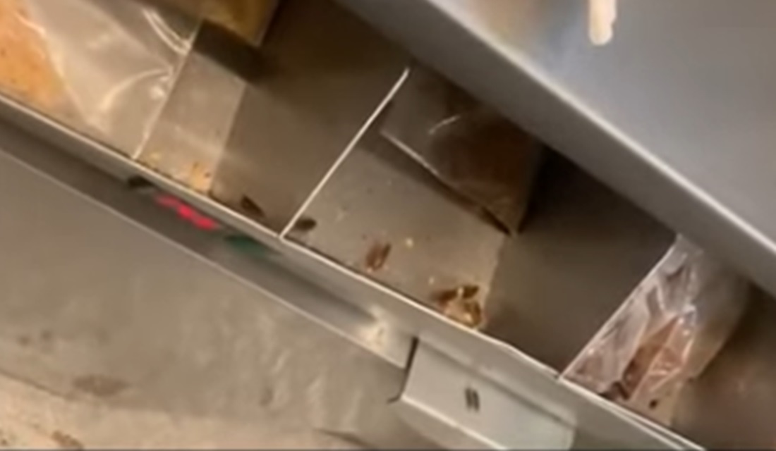 Vídeo mostra baratas em quiosque de sorvete do McDonald's no PI