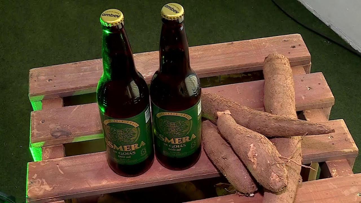Iporá vai produzir mandioca para fazer cerveja de Goiás