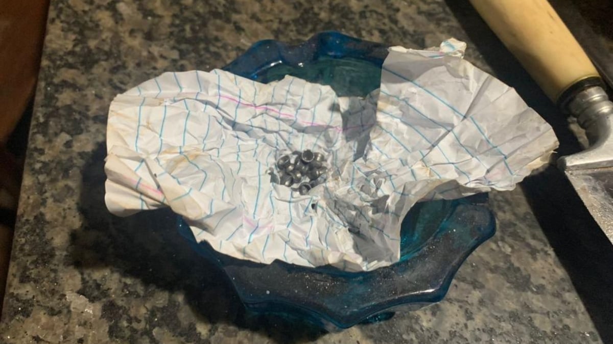 Foto mostra projeteis de chumbinho em uma folha de papel. Foto ilustra Denúncia afirma que suspeito atraiu os animais para a casa dele e atirou com chumbinho contra os cães dentro do imóvel (Foto: Divulgação - PM)