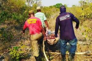 Bombeiro e voluntários carregam mulher em maca improvisada no meio da mata - Mulher se perde em mata após sair para colher pequi em Mozarlândia