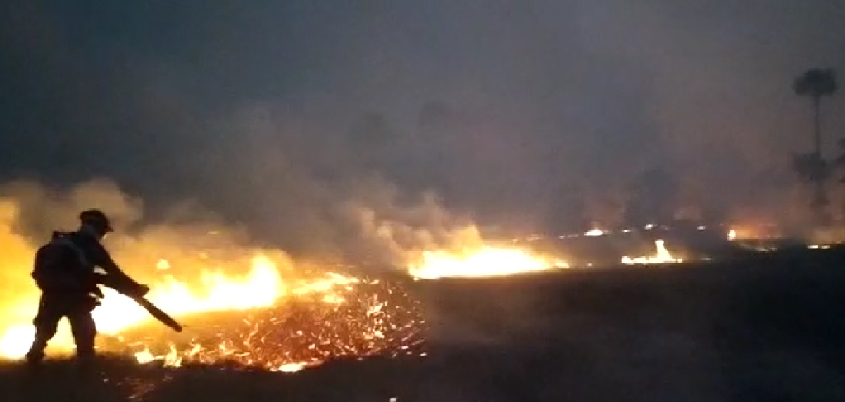 Bombeiros, brigadistas e voluntários combatem o Incêndio no Parque Terra Ronca (Foto: Divulgação - CBMGO)