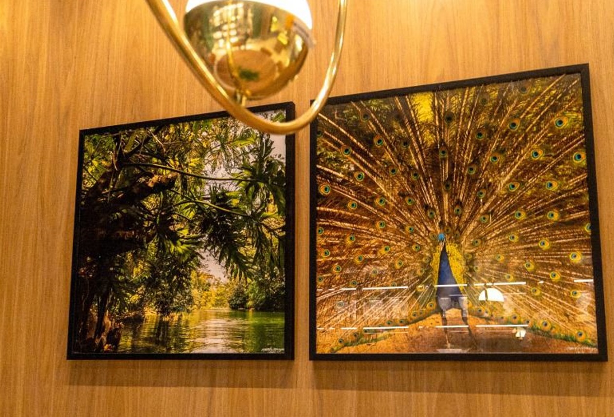 CASACOR GOIÁS 2021 apresenta quadros com paisagens do cerrado