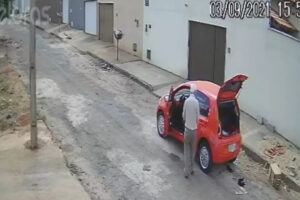 Homem é flagrado abandonando filhotes de gato na rua, em Inhumas