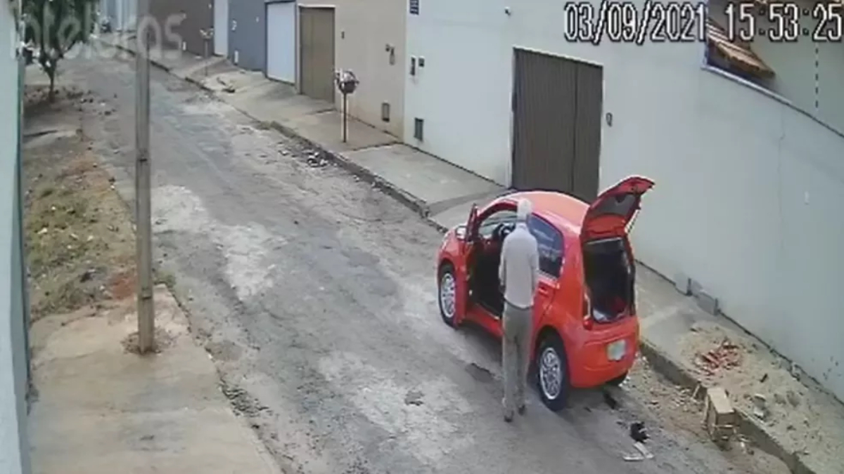 Homem é flagrado abandonando filhotes de gato na rua, em Inhumas