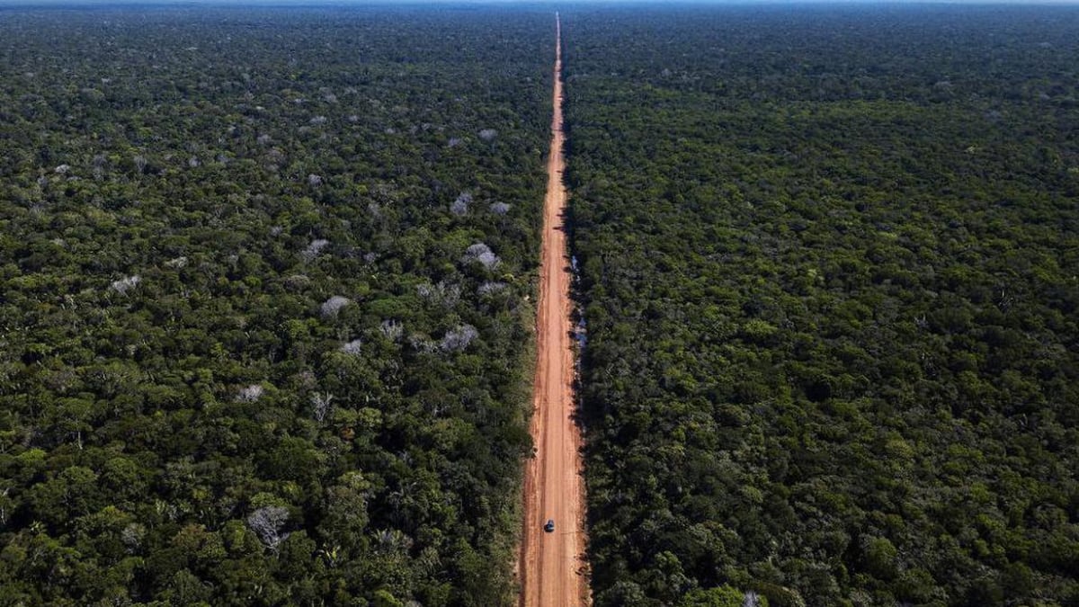 Vencedor do Prêmio Nobel é alvo de ataque xenófobo por bolsonarista no AM
