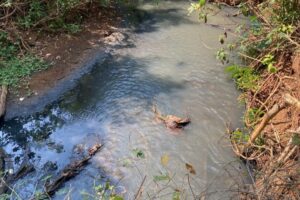 Indústria de alimentos é multada em R$ 50 milhões por poluir córrego em Nerópolis (Foto: Polícia Militar)