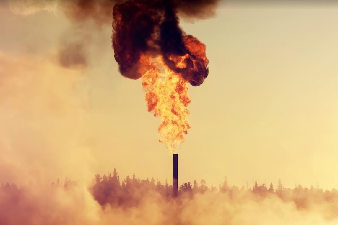 10ª mostra ecofalante de cinema