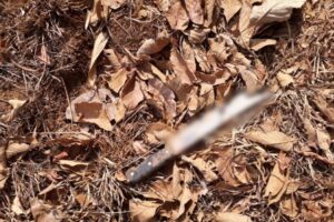 Homem invade convento com facão e ameaça freira e padre, em Anápolis