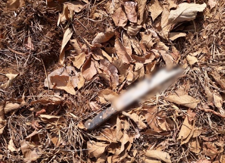 Homem invade convento com facão e ameaça freira e padre, em Anápolis