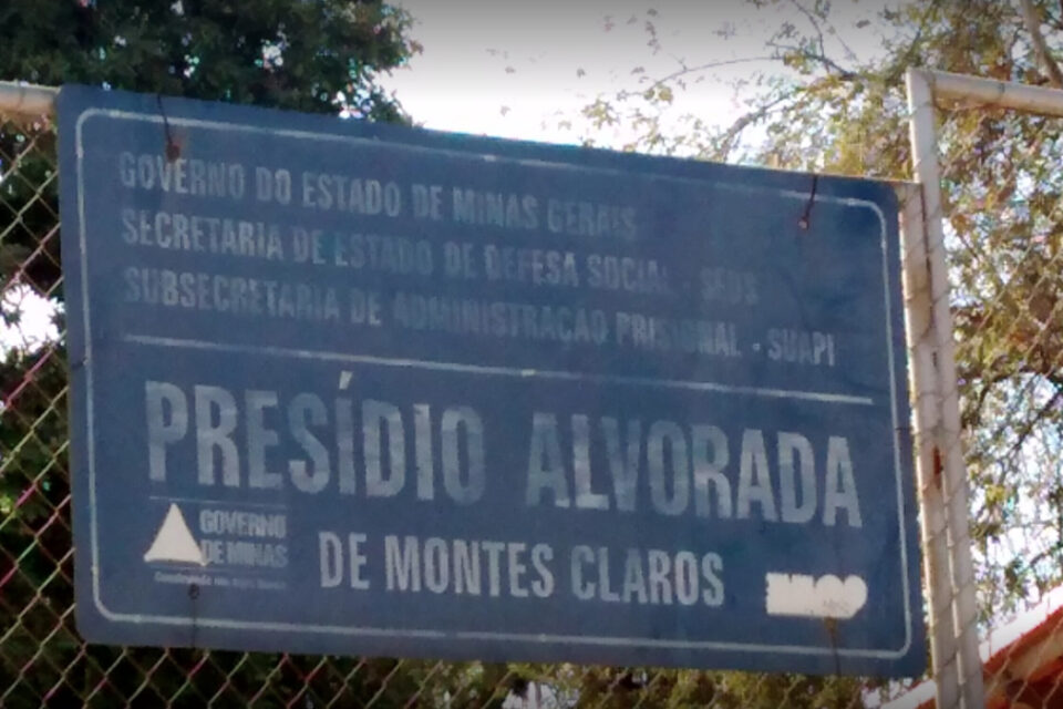 Agentes encontram celular dentro de sapo morto que havia sido arremessado em presídio