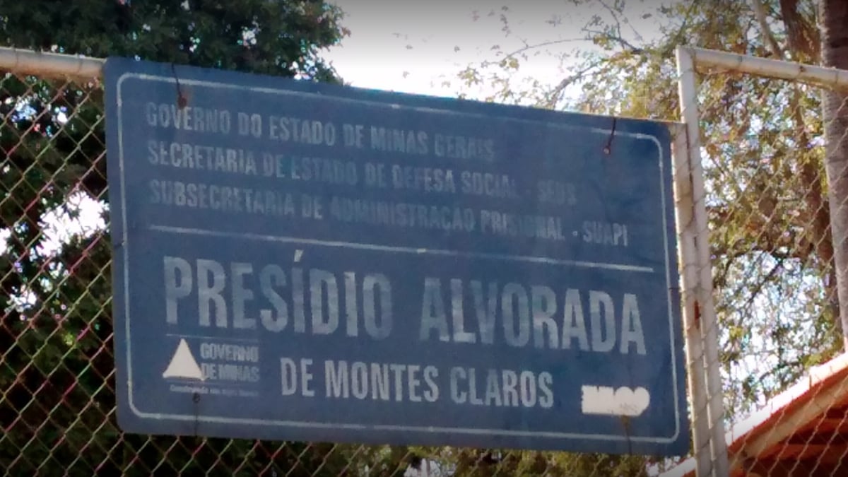 Agentes encontram celular dentro de sapo morto que havia sido arremessado em presídio