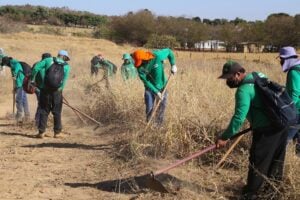 Servidores de Aparecida de Goiânia fazem aceiros na Serra das Areias