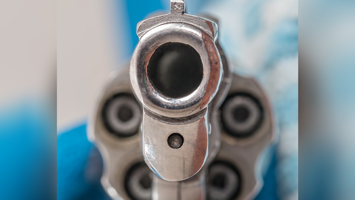 Jovem mata cinco pessoas da família na França