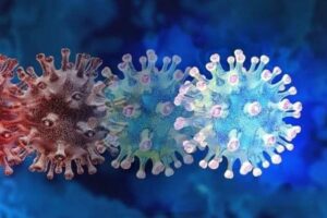 Anvisa anuncia 2 casos de variante ômicron no Brasil (Foto: Reprodução)