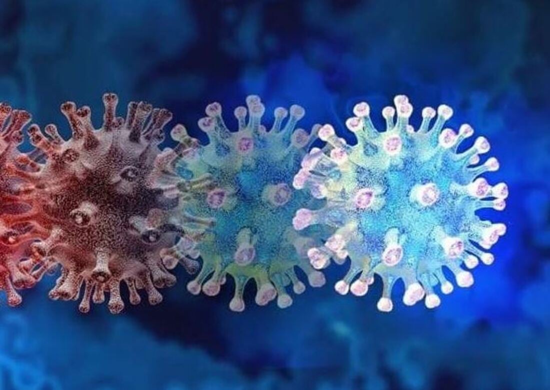 Anvisa anuncia 2 casos de variante ômicron no Brasil (Foto: Reprodução)