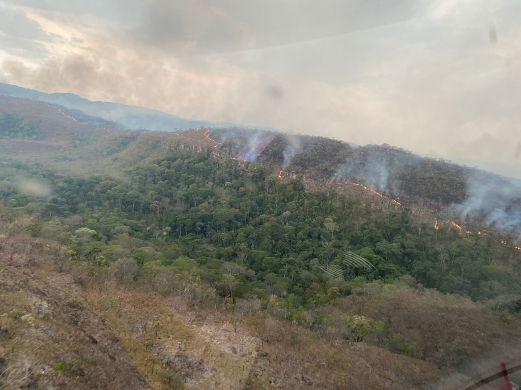 Incêndios florestais tem aumento de 8,4% em comparação ao mesmo período de 2020 em Goiás
